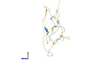 AlphaFold protein structure predicition of Human Recombinant CDC42EP4 Protein, UniprotID Q9H3Q1