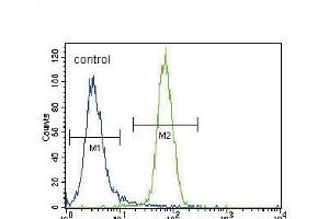 RUNX2 Antibody  (ABIN392133 and ABIN2841871) flow cytometric analysis of NCI- cells (right histogram) compared to a negative control cell (left histogram).