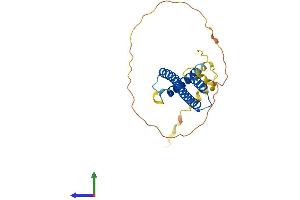 AlphaFold protein structure predicition of Mouse Recombinant Hes6 Protein, UniprotID Q9JHE6