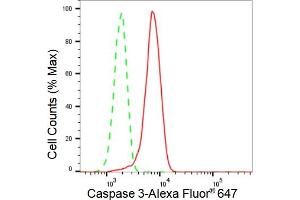 Flow cytometric analysis of Caspase 3 expression in HT- cells using Caspase 3 antibody (ABIN7797893), 1:2,000).