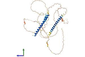 AlphaFold protein structure predicition of Mouse Recombinant Iqcc Protein, UniprotID A2ADZ8