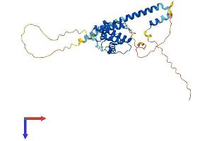 AlphaFold protein structure predicition of Mouse Recombinant Mapre2 Protein, UniprotID Q8R001