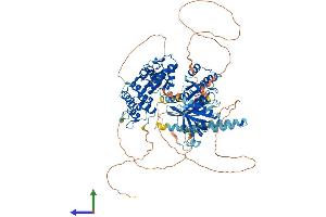 AlphaFold protein structure predicition of Human Recombinant AGAP1 Protein, UniprotID Q9UPQ3