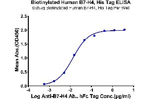 Immobilized Biotinylated Human B7-H4, His Tag at 0.