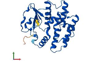 AlphaFold protein structure predicition of Mouse Recombinant Gsto2 Protein, UniprotID Q8K2Q2