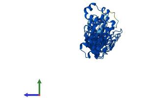 AlphaFold protein structure predicition of Mouse Recombinant Asb4 Protein, UniprotID Q9WV71