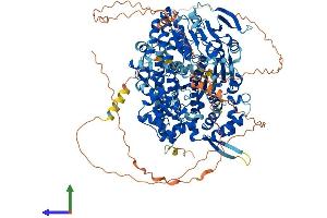 AlphaFold protein structure predicition of Human Recombinant HELQ Protein, UniprotID Q8TDG4