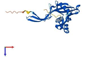 AlphaFold protein structure predicition of Mouse Recombinant Nudt5 Protein, UniprotID Q9JKX6