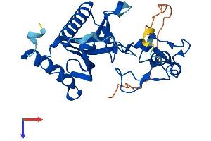 AlphaFold protein structure predicition of Mouse Recombinant Plekhf2 Protein, UniprotID Q91WB4