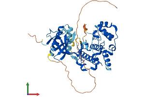AlphaFold protein structure predicition of Mouse Recombinant Mapk9 Protein, UniprotID Q9WTU6