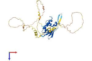 AlphaFold protein structure predicition of Human Recombinant IRF1 Protein, UniprotID P10914