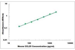 Representative Standard Curve (CCL25 Kit ELISA)