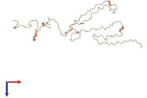 AlphaFold protein structure predicition of Human Recombinant KRTAP10-2 Protein, UniprotID P60368
