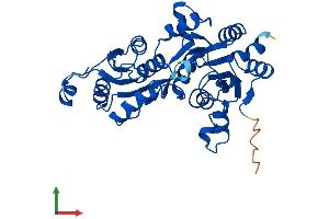AlphaFold protein structure predicition of Mouse Recombinant Pgp Protein, UniprotID Q8CHP8