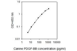 PDGF-BB Homodimer ELISA Kit