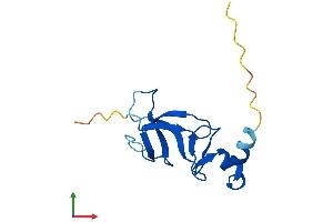 AlphaFold protein structure predicition of Human Recombinant CDPF1 Protein, UniprotID Q6NVV7