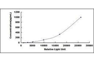 Growth Differentiation Factor 11 (GDF11) CLIA Kit