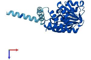 AlphaFold protein structure predicition of Mouse Recombinant Comt Protein, UniprotID O88587