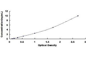Typical standard curve (Doublecortin Kit ELISA)