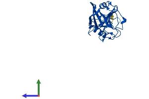 AlphaFold protein structure predicition of Mouse Recombinant Ppic Protein, UniprotID P30412