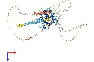 AlphaFold protein structure predicition of Human Recombinant TULP2 Protein, UniprotID O00295