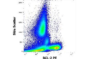 Flow cytometry intracellular staining pattern of human peripheral whole blood from diffuse large B-cell lymphoma (DLBCL) patient. (Bcl-2 anticorps  (AA 41-54) (PE))