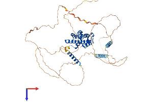 AlphaFold protein structure predicition of Human Recombinant PROX2 Protein, UniprotID Q3B8N5