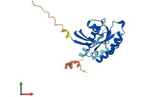 AlphaFold protein structure predicition of Mouse Recombinant Rab3a Protein, UniprotID P63011