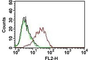 Flow cytometric analysis of MCF-7 cell with EPCAM monoclonal antibody, clone EGP40/837 (PE)  (red). (EpCAM anticorps  (PE))