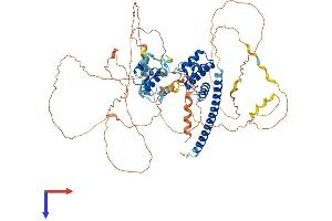 AlphaFold protein structure predicition of Human Recombinant REPS2 Protein, UniprotID Q8NFH8