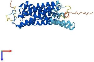 Opsin 1 (Cone Pigments), Short-Wave-Sensitive (OPN1SW) (AA 1-346) protein (His tag)
