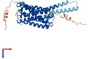 AlphaFold protein structure predicition of Mouse Recombinant Gpr45 Protein, UniprotID Q9EQQ4