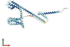 AlphaFold protein structure predicition of Human Recombinant CATSPER3 Protein, UniprotID Q86XQ3