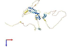 AlphaFold protein structure predicition of Human Recombinant ZNF385A Protein, UniprotID Q96PM9