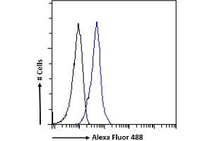 (ABIN335143) Flow cytometric analysis of paraformaldehyde fixed K562 cells (blue line), permeabilized with 0.