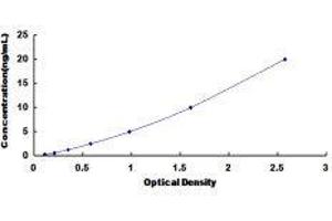 Lymphocyte Antigen 9 (CD229) ELISA Kit