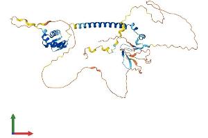 AlphaFold protein structure predicition of Mouse Recombinant E2f3 Protein, UniprotID O35261