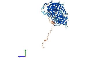 AlphaFold protein structure predicition of Human Recombinant PARP3 Protein, UniprotID Q9Y6F1