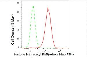 Flow cytometric analysis of Histone H3 (acetyl K56) expression in HAP-1 cells using Histone H3 (acetyl K56) antibody (ABIN7798972), 1:2,000). (Recombinant Histone 3 anticorps  (H3K56ac))