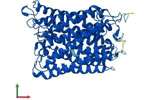 AlphaFold protein structure predicition of Human Recombinant MT-CO1 Protein, UniprotID P00395