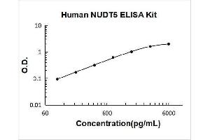 Typical Standard Curve