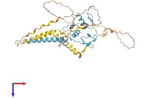 AlphaFold protein structure predicition of Human Recombinant ZNF367 Protein, UniprotID Q7RTV3