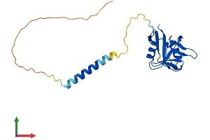 AlphaFold protein structure predicition of Human Recombinant CD69 Protein, UniprotID Q07108