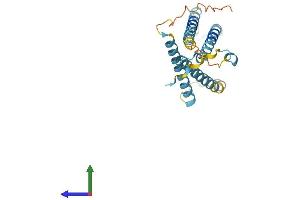 AlphaFold protein structure predicition of Mouse Recombinant Laptm4a Protein, UniprotID Q60961
