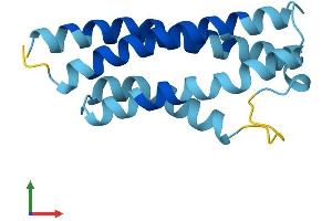 AlphaFold protein structure predicition of Mouse Recombinant Cnih1 Protein, UniprotID O35372