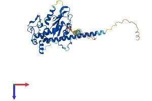 AlphaFold protein structure predicition of Human Recombinant HS6ST1 Protein, UniprotID O60243