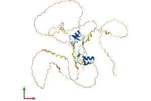 AlphaFold protein structure predicition of Mouse Recombinant Gata2 Protein, UniprotID O09100