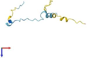 AlphaFold protein structure predicition of Human Recombinant ANAPC13 Protein, UniprotID Q9BS18