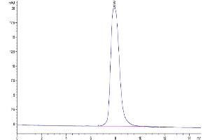 The purity of Cynomolgus MMP-9 is greater than 95 % as determined by SEC-HPLC.