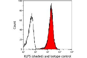 Flow Cytometry (FACS) image for anti-Kruppel-Like Factor 5 (Intestinal) (KLF5) (AA 325-375) antibody (ABIN7795630)